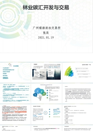 林业碳汇开发与交易