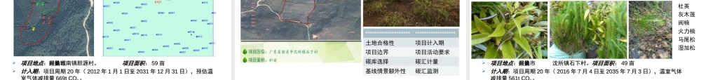 广州地理研究所：广东韶关中小林农碳汇开发