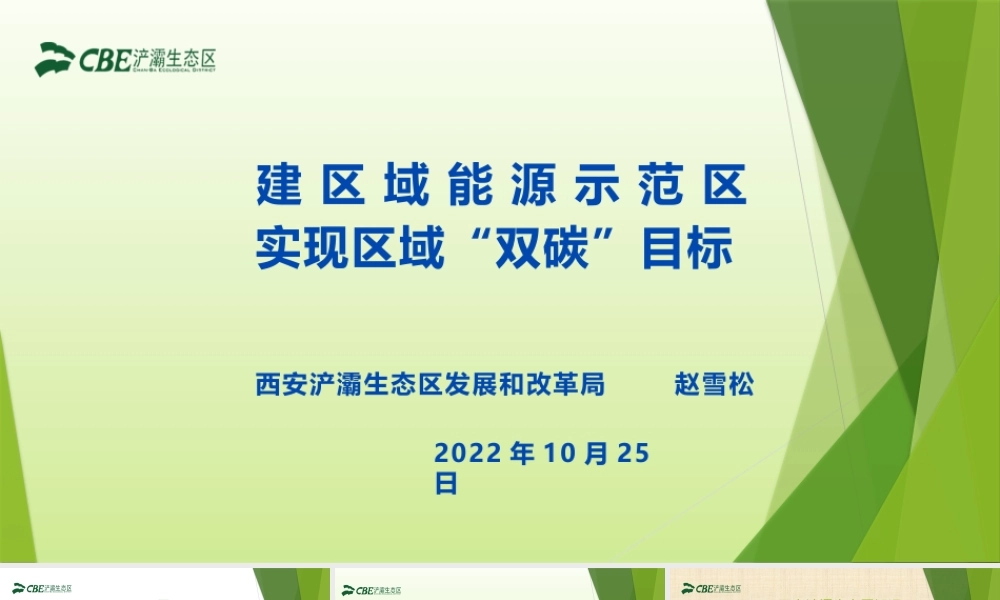 建设区域能源示范区-20221025-29页