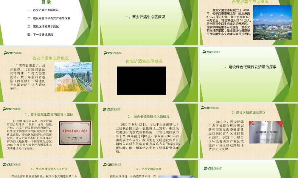 建设区域能源示范区-20221025-29页