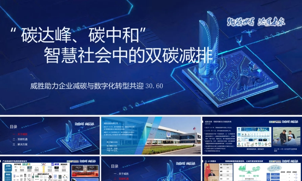 智慧社会中的双碳减排-威胜信息