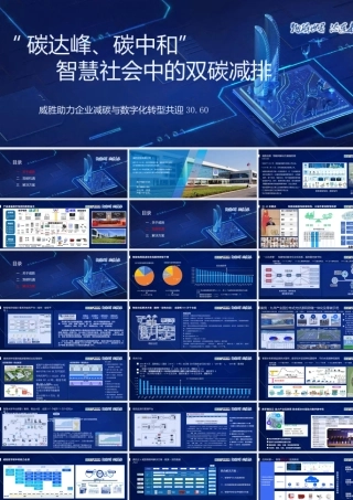 智慧社会中的双碳减排-威胜信息