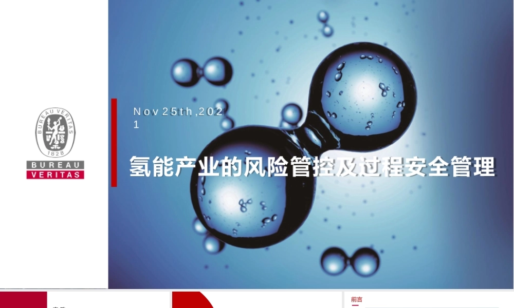 李政：氢能产业的风险管控及过程安全管理
