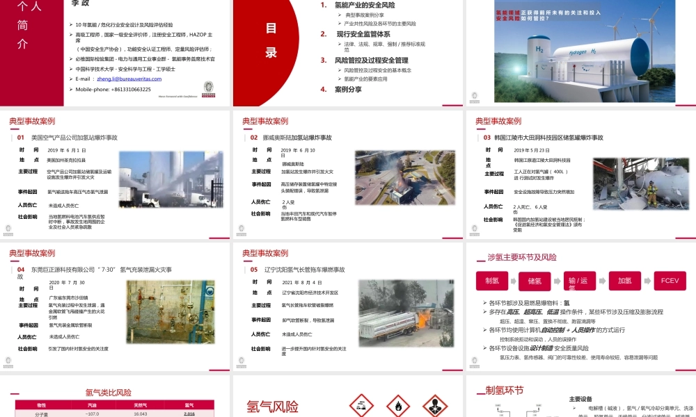 李政：氢能产业的风险管控及过程安全管理