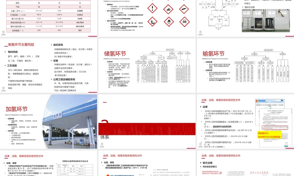 李政：氢能产业的风险管控及过程安全管理