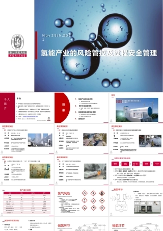 李政：氢能产业的风险管控及过程安全管理