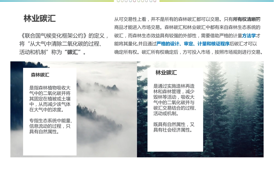 林业碳汇开发与交易_第3页