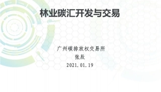 林业碳汇开发与交易