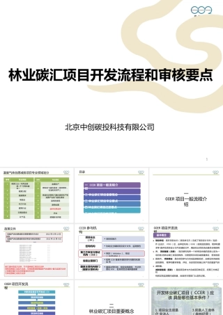 林业碳汇项目开发流程与审核要点