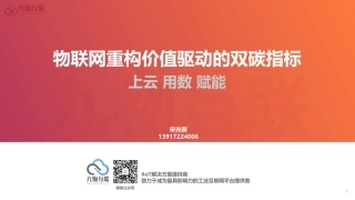 物联网重构价值驱动的双碳指标