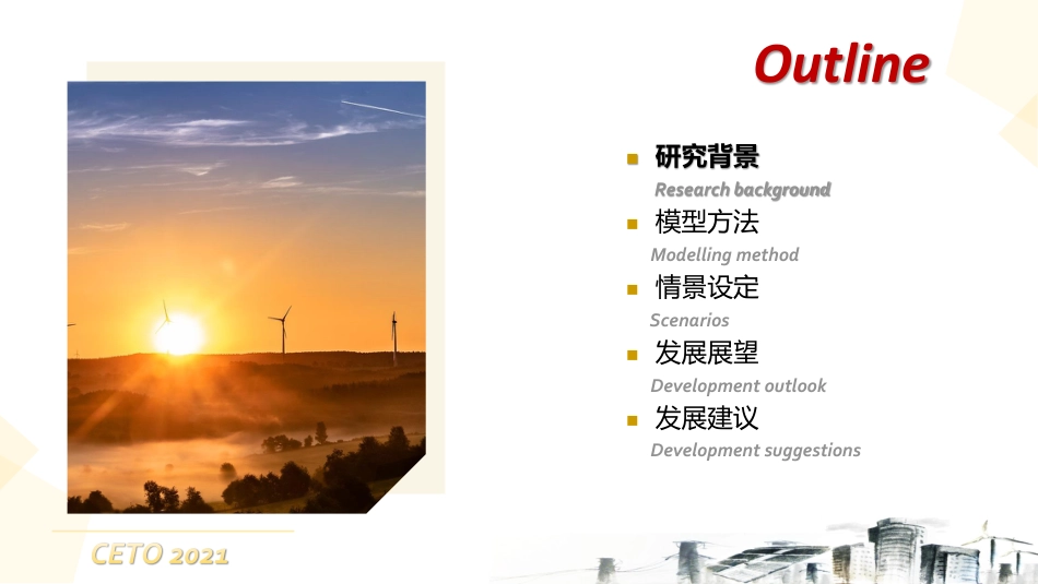 王仲颖：中国能源转型展望2021_第2页