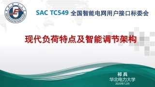 现代负荷特点及智能调节架构