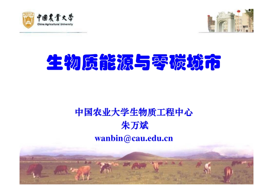生物质能源与零碳城市_第1页