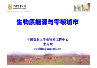 生物质能源与零碳城市