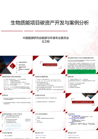 生物质能项目碳资产开发与案例