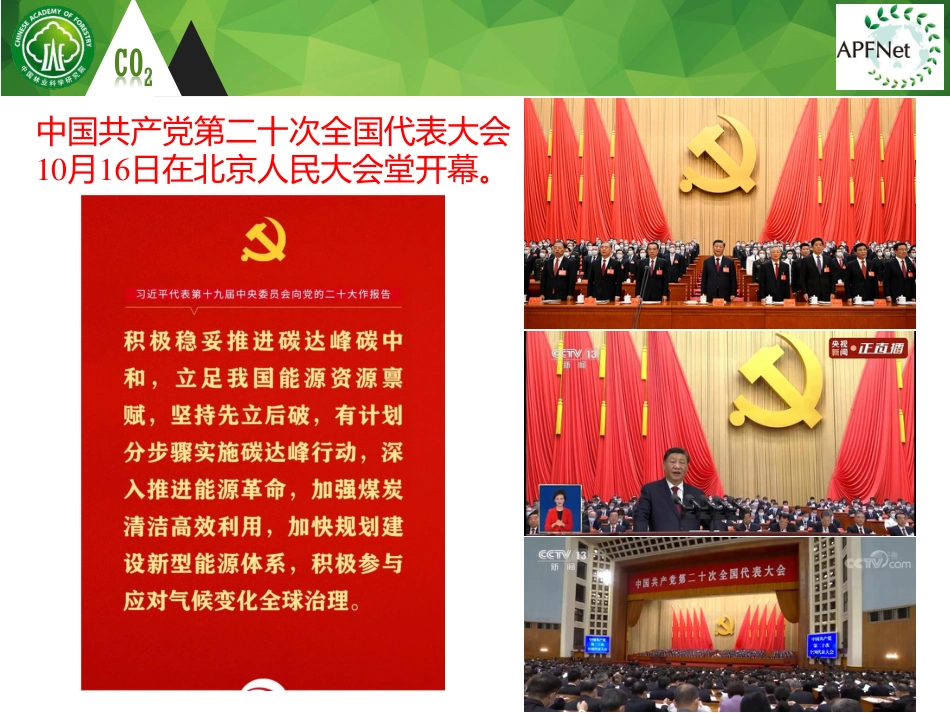 白彦锋博士-双碳背景下，林业汇碳为何成为最有潜力开垦的富矿？_第2页