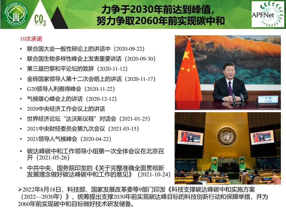 白彦锋博士-双碳背景下，林业汇碳为何成为最有潜力开垦的富矿？_第3页