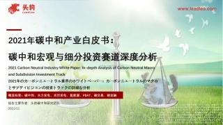 碳中和宏观与细分赛道深度分析