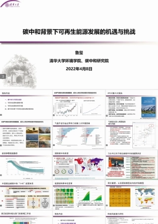 碳中和背景下可再生能源发展的机遇与挑战