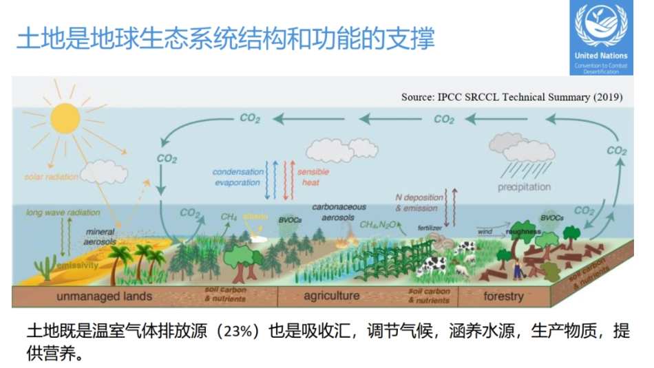 碳中和论坛《土地综合利用规划：协调-粮食-生态和可再生能源发展》_第3页