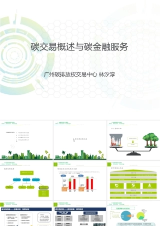 碳交易政策机制与实践PPT
