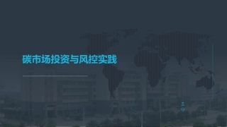 碳市场投资与风控实践