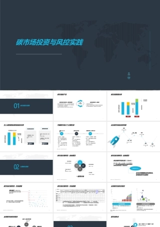 碳市场投资与风控实践