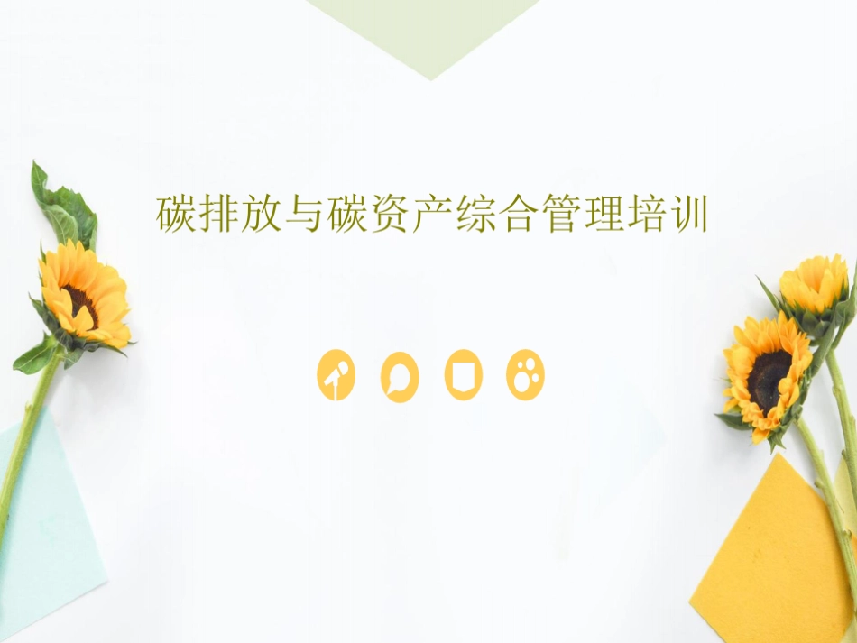 碳排放与碳资产综合管理培训共43页_第1页