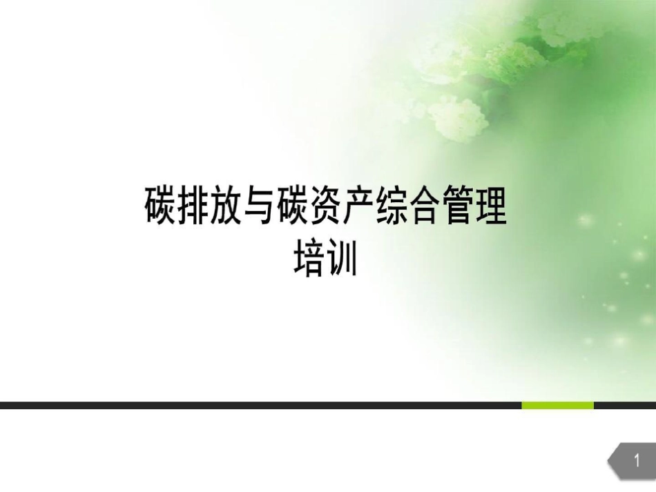 碳排放与碳资产综合管理培训共43页_第2页