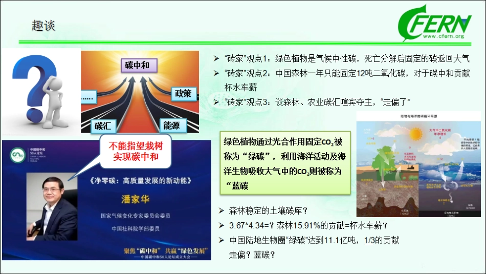 01、100页森林碳汇PPT：碳中和途径、碳交易等（森林碳汇全口径，生态感知碳中和）_第3页