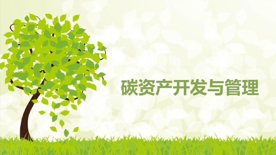碳资产开发与管理PPT_第1页