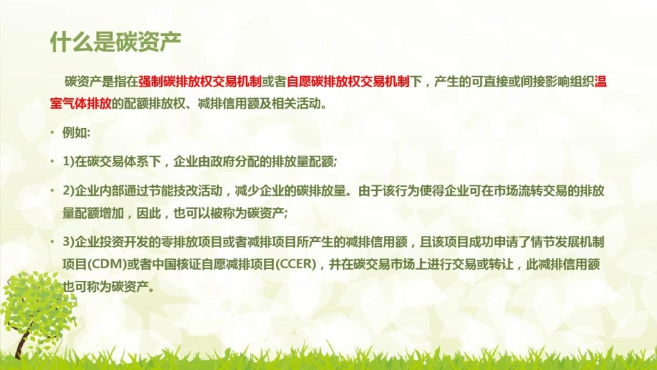 碳资产开发与管理PPT_第2页