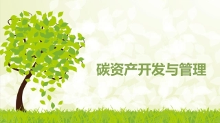 碳资产开发与管理PPT