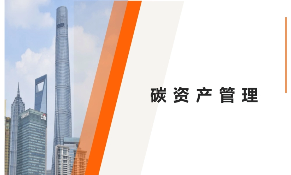 碳资产管理PPT
