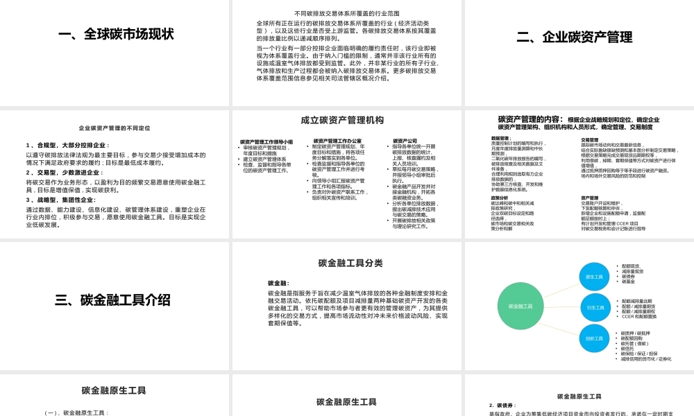 碳资产管理方法解析、碳金融和碳交易会计处理