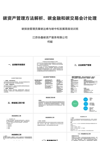 碳资产管理方法解析、碳金融和碳交易会计处理