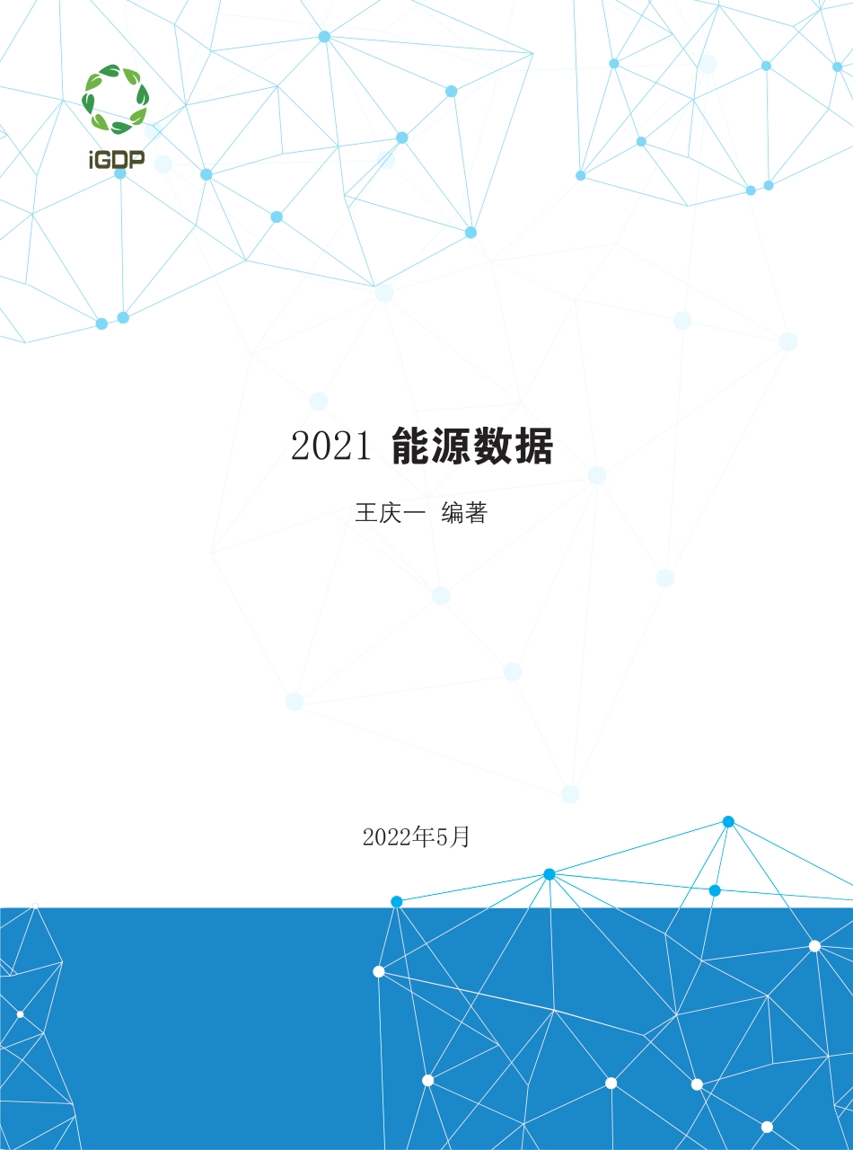 2021能源数据-IGDP_第1页