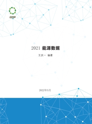 2021能源数据-IGDP