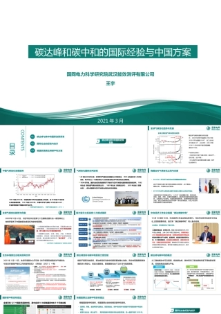 碳达峰与碳中和国际政策背景及中国方案-国家电网