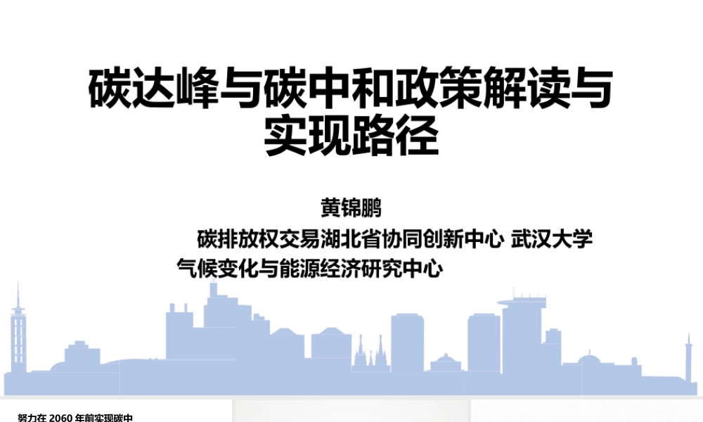 碳达峰与碳中和政策解读与实现路径(1)