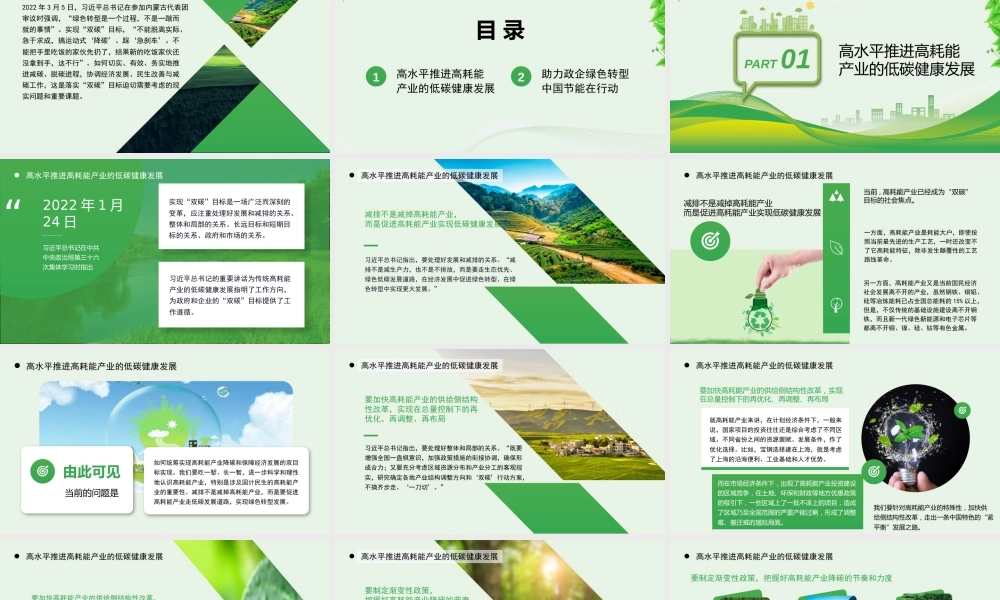 碳达峰碳中和政府与企业绿色转型方案 