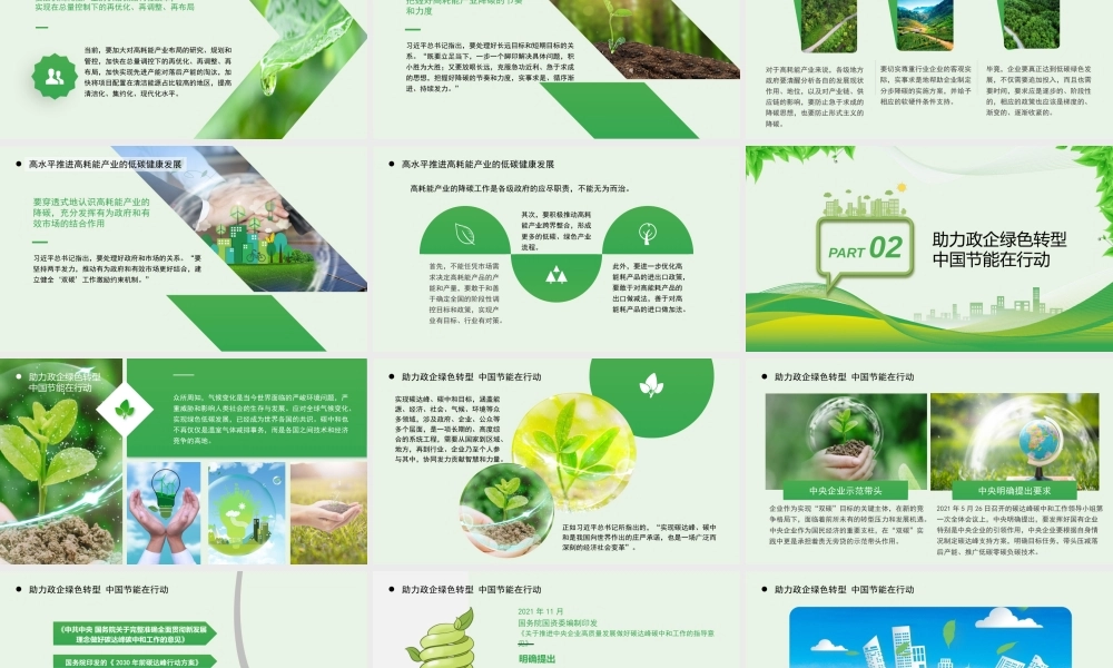 碳达峰碳中和政府与企业绿色转型方案 