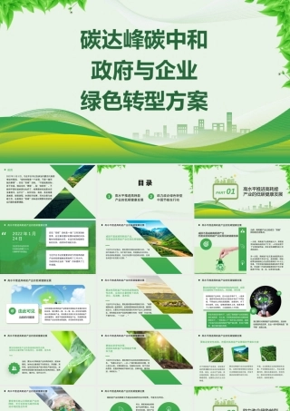 碳达峰碳中和政府与企业绿色转型方案 