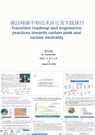 舒印彪院士PPT：碳达峰碳中和技术路径及实践探讨(1)
