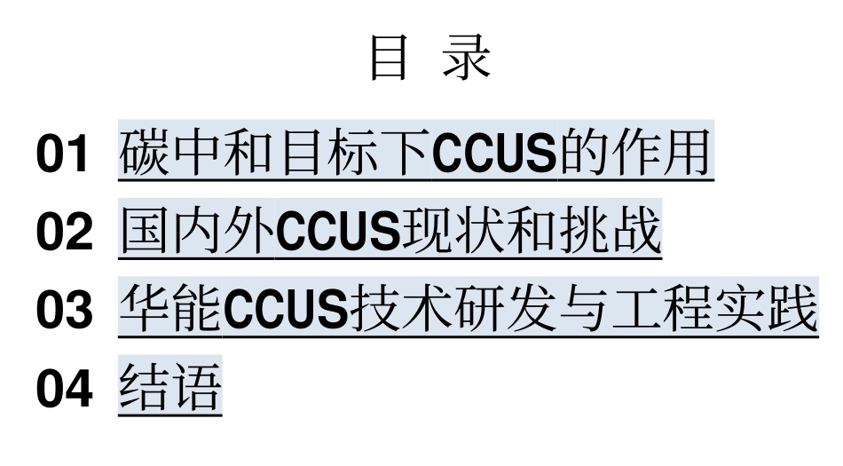 许世森：CCUS技术与工程实践_第2页