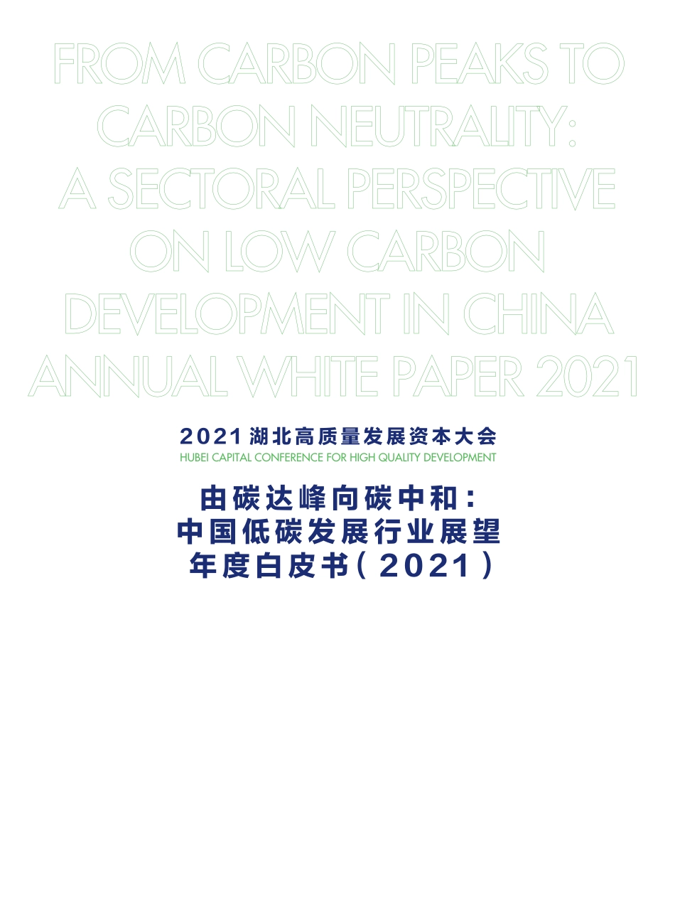 2021低碳发展行业展望白皮书_第3页