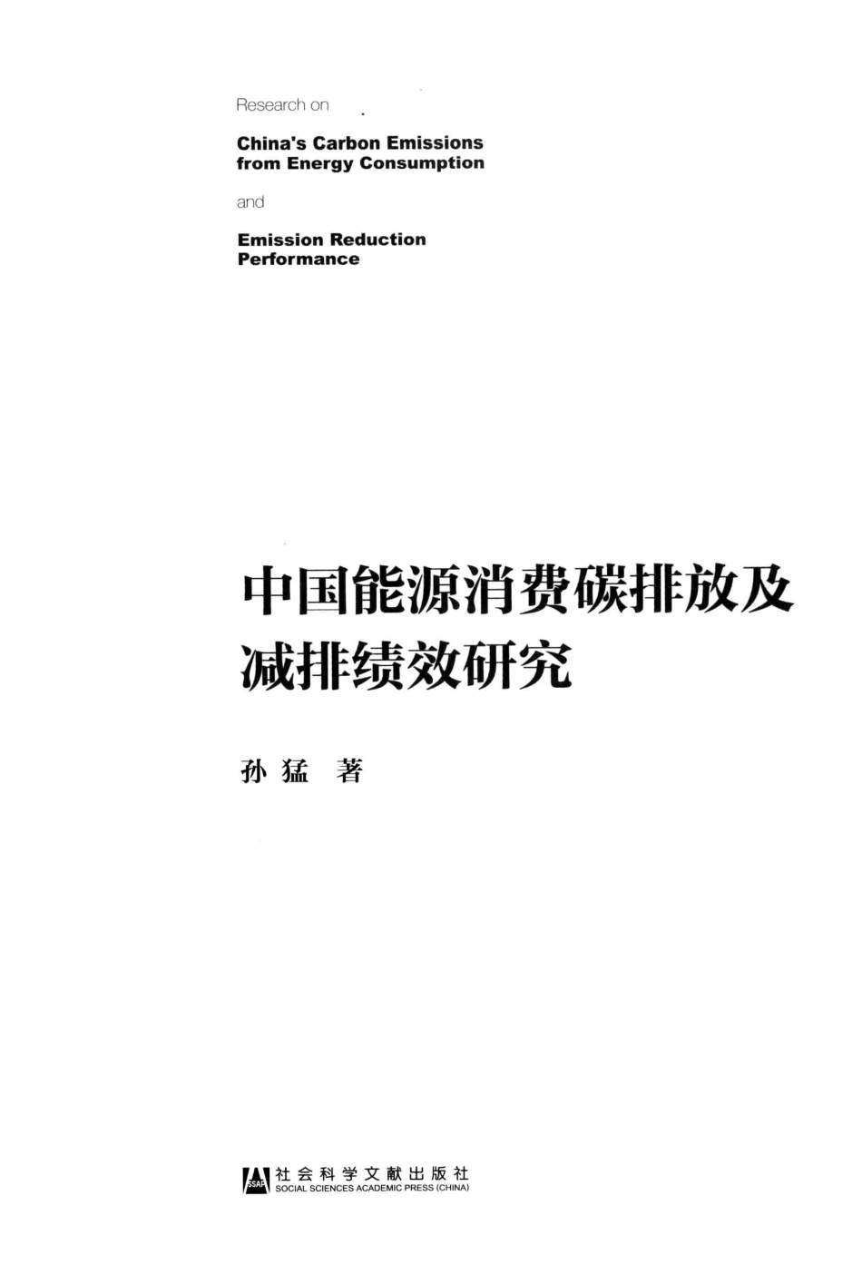 《中国能源消费碳排放及减排绩效研究》_第3页
