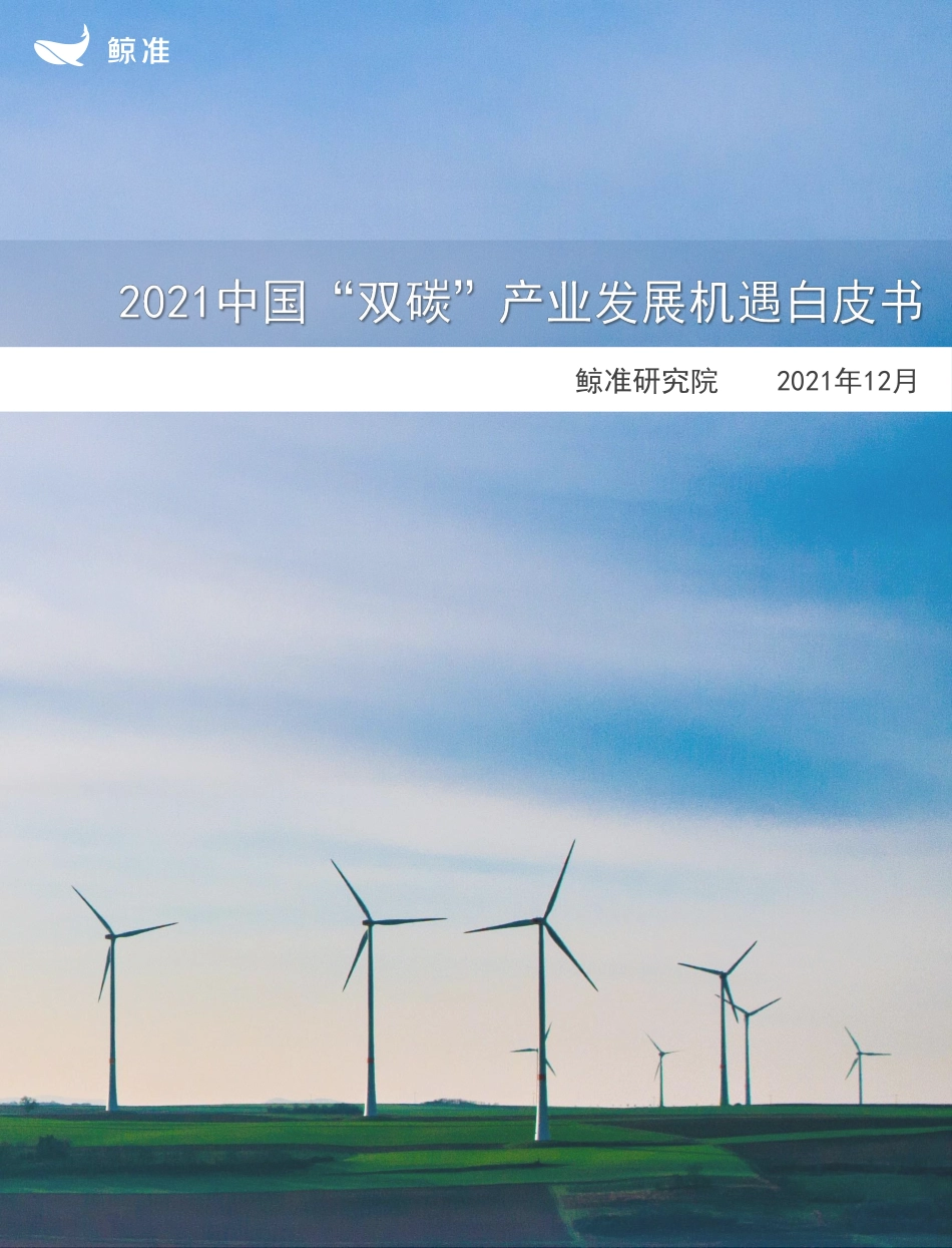 中国“双碳”产业发展机遇白皮书（2021年）_第1页