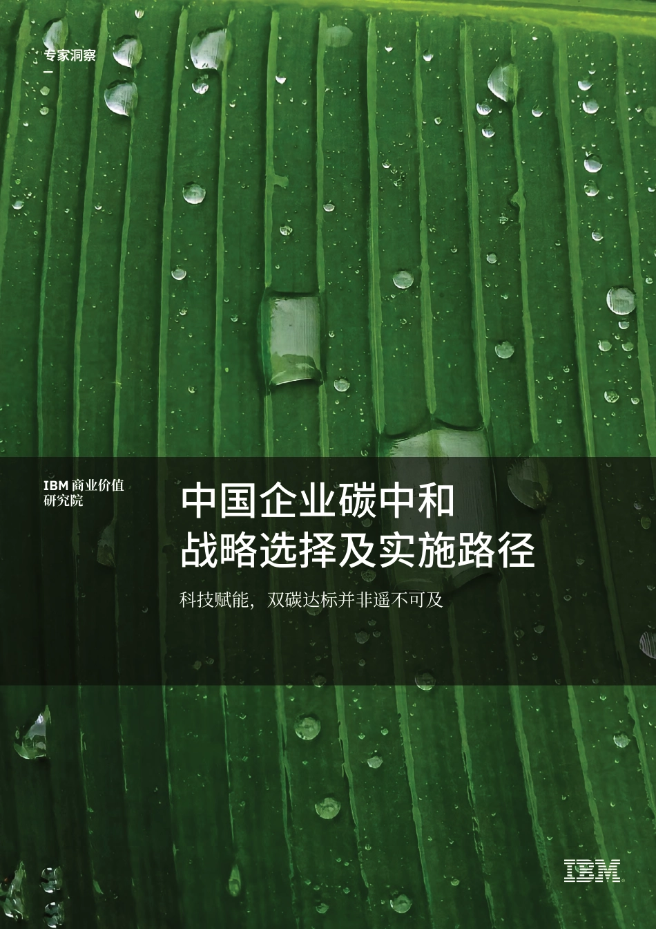 中国企业碳中和战略选择及实施路径：科技赋能，双碳达标并非遥不可及_第1页