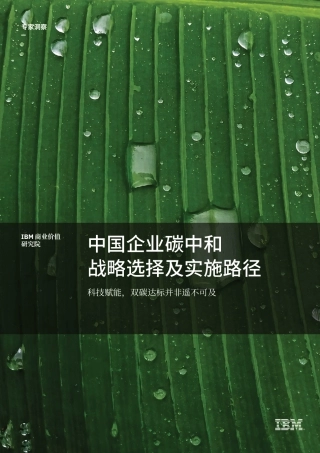 中国企业碳中和战略选择及实施路径：科技赋能，双碳达标并非遥不可及